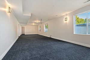 Empty room with dark colored carpet and a healthy amount of sunlight