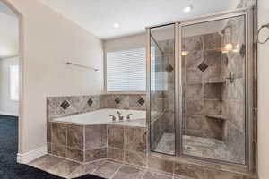 Bathroom with separate shower and tub