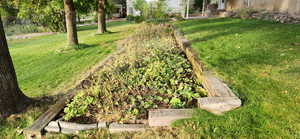 Backyard Planter Area