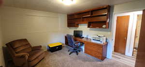 Main Floor Bedroom / Office