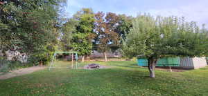 More Backyard