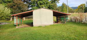 Storage Shed