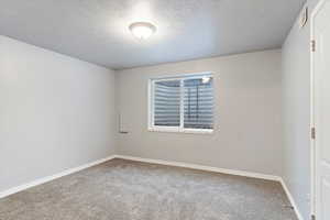 Empty room featuring carpet and a textured ceiling