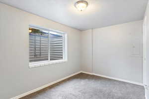 Spare room featuring electric panel and carpet floors