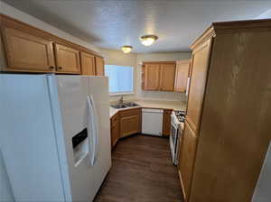 Kitchen with white appliances, dark hardwood / wood-style floors, sink, and a textured ceiling