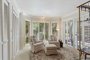 Living area with ornamental molding, light colored carpet, and a textured ceiling