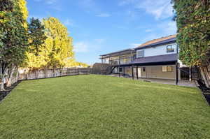 View of yard featuring a patio area