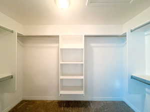 Master bedroom walk-in closet with carpet flooring