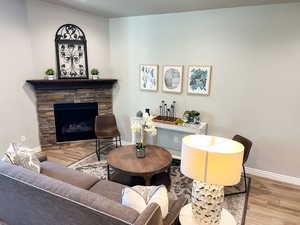 Living room featuring a gas fireplace