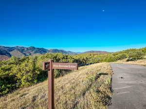 Blue Grouse Lane