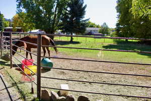 View of horse barn featuring a rural view