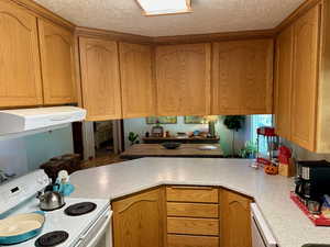 Kitchen with a textured ceiling, electric range, and stainless steel dishwasher