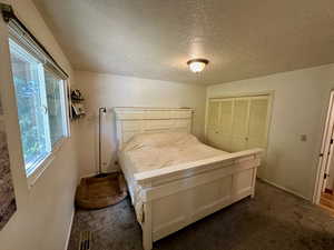 Carpeted bedroom featuring a closet, multiple windows, and a textured ceiling