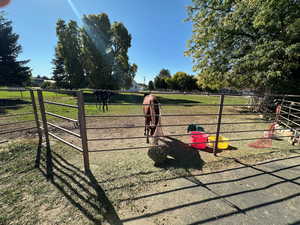 View of gate with a lawn