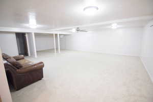 Basement Family Room