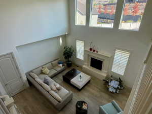 Living room with hardwood / wood-style flooring, a high ceiling, and a wealth of natural light