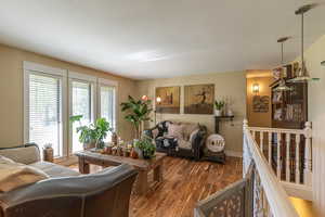 Living room with wood-type flooring