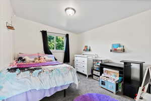 Bedroom with carpet floors and lofted ceiling