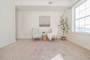 Living area featuring plenty of natural light and carpet