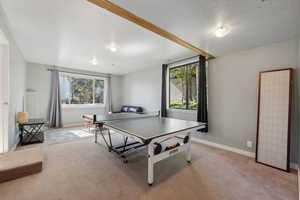 Recreation room featuring light colored carpet and plenty of natural light