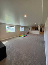 Game room with carpet and a textured ceiling