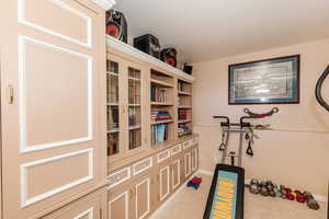 Exercise room featuring a textured ceiling and light colored carpet