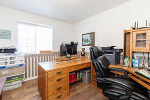 Office featuring dark hardwood / wood-style floors