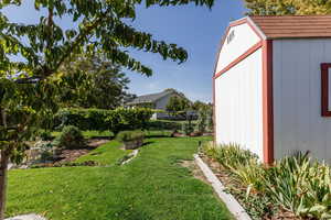 View of yard with a storage shed