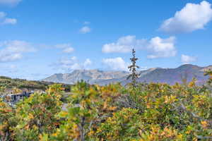 South-facing views of Mount Timpanogos