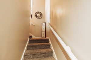 Stairs featuring carpet flooring