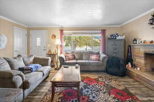 Living room with a stone fireplace, a textured ceiling, dark hardwood / wood-style floors, and ornamental molding