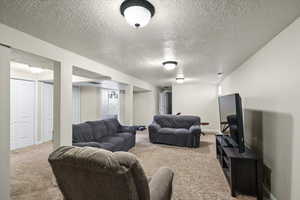 Living room with carpet and a textured ceiling