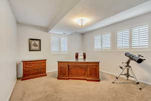 Office space with plenty of natural light, a textured ceiling, and light carpet