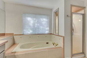 Bathroom featuring vanity and shower with separate bathtub