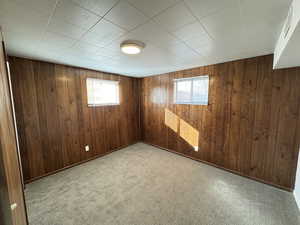 Basement featuring light carpet, wooden walls, and a healthy amount of sunlight