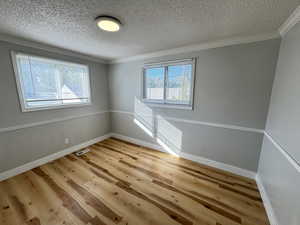 Unfurnished room featuring ornamental molding, a wealth of natural light, light hardwood / wood-style floors, and a textured ceiling