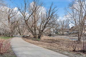 View of road