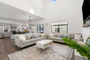 Living room featuring a high ceiling and dark hardwood / wood-style flooring