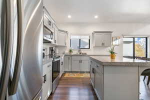 Kitchen with sink, dark hardwood / wood-style floors, stainless steel appliances, and plenty of natural light