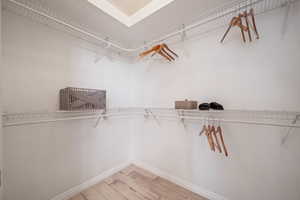 Spacious closet featuring wood-type flooring