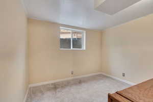 Unfurnished room featuring carpet and ornamental molding