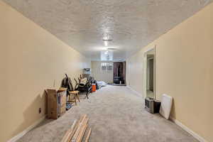 Interior space with a wood stove, carpet floors, and a textured ceiling