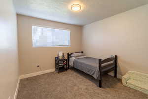 Carpeted bedroom featuring a textured ceiling