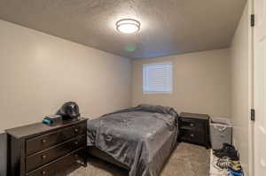 Carpeted bedroom featuring a textured ceiling