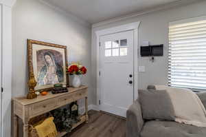 Foyer featuring plenty of natural light, crown molding, and dark hardwood / wood-style flooring