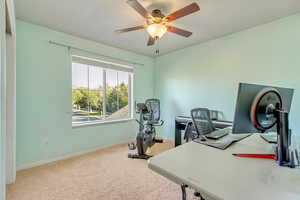 Carpeted bedroom or home office with ceiling fan