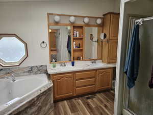 Bathroom with plus walk in shower, vanity, and hardwood / wood-style flooring