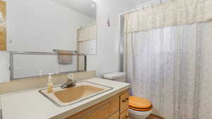 Bathroom with toilet, vanity, and a shower with shower curtain