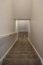 Staircase featuring carpet floors to the basement