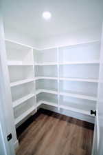 Spacious kitchen pantry with abundant shelving
